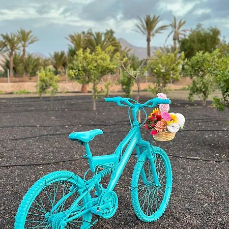 Casita Alisha, Descansar * Tuineje